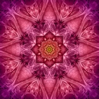 Dream Big Kaleidoscope Panel by Jeanie Sumrall-Ajero - U5089-23-Fuchsia