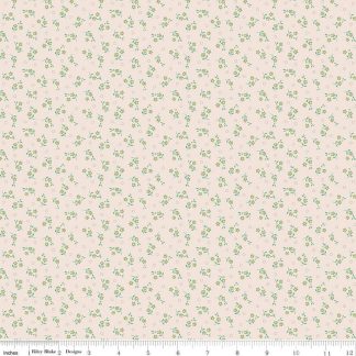 Mercantile Delightful Background- Lettuce